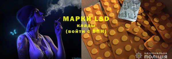 прущие грибы Майский