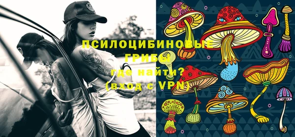 прущие грибы Майский