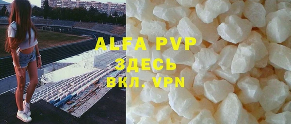 прущие грибы Майский