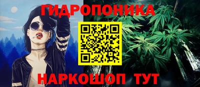 спиды Камышлов