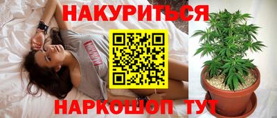 jwh Кандалакша