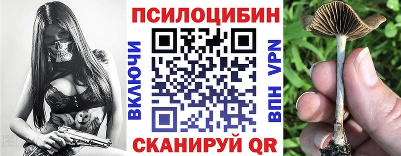 Галлюциногенные грибы Psilocybine cubensis  цены наркотик  Новый Уренгой 
