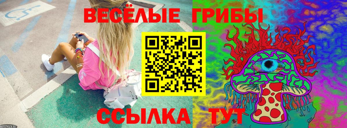 Галлюциногенные грибы Psilocybine cubensis Новый Уренгой