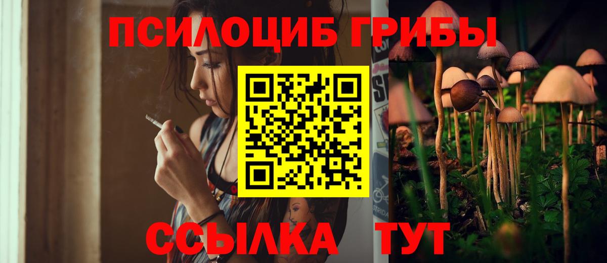 Галлюциногенные грибы прущие грибы  Галлюциногенные грибы Psilocybe  Новый Уренгой  Вход с VPN 